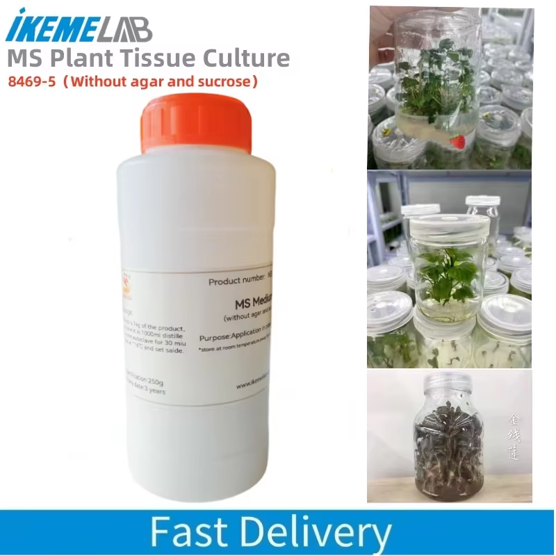 Agar Tissue Culture - IKEME 250g Lab MS Mediano Sin