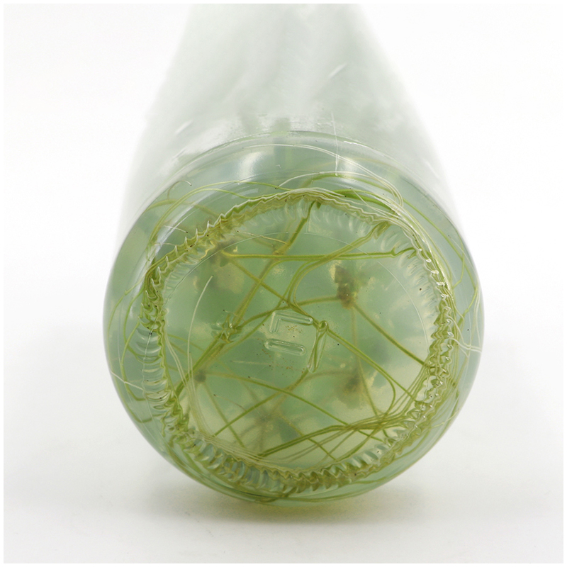 Medio MS sin Agar o Sacarosa p - Agar Tissue Culture reseña y precio