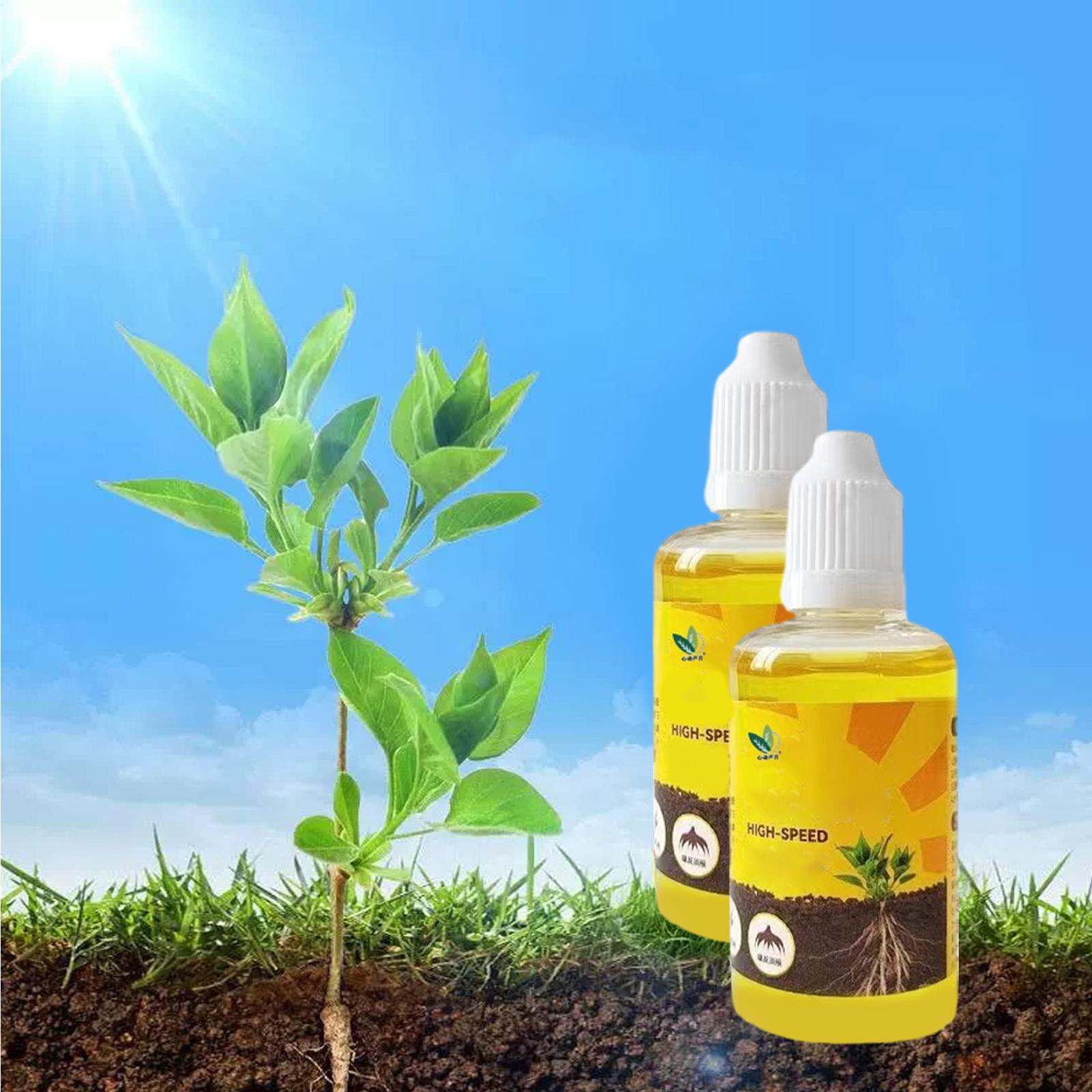 Estimulador de Enraizamiento d - Root Stimulator Liquid reseña y precio