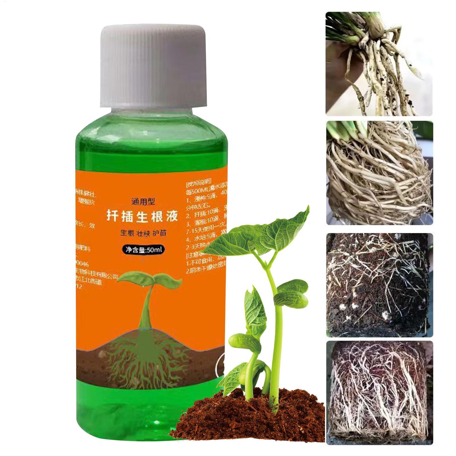 Solución nutritiva para traspl - Root Stimulator Liquid reseña y precio