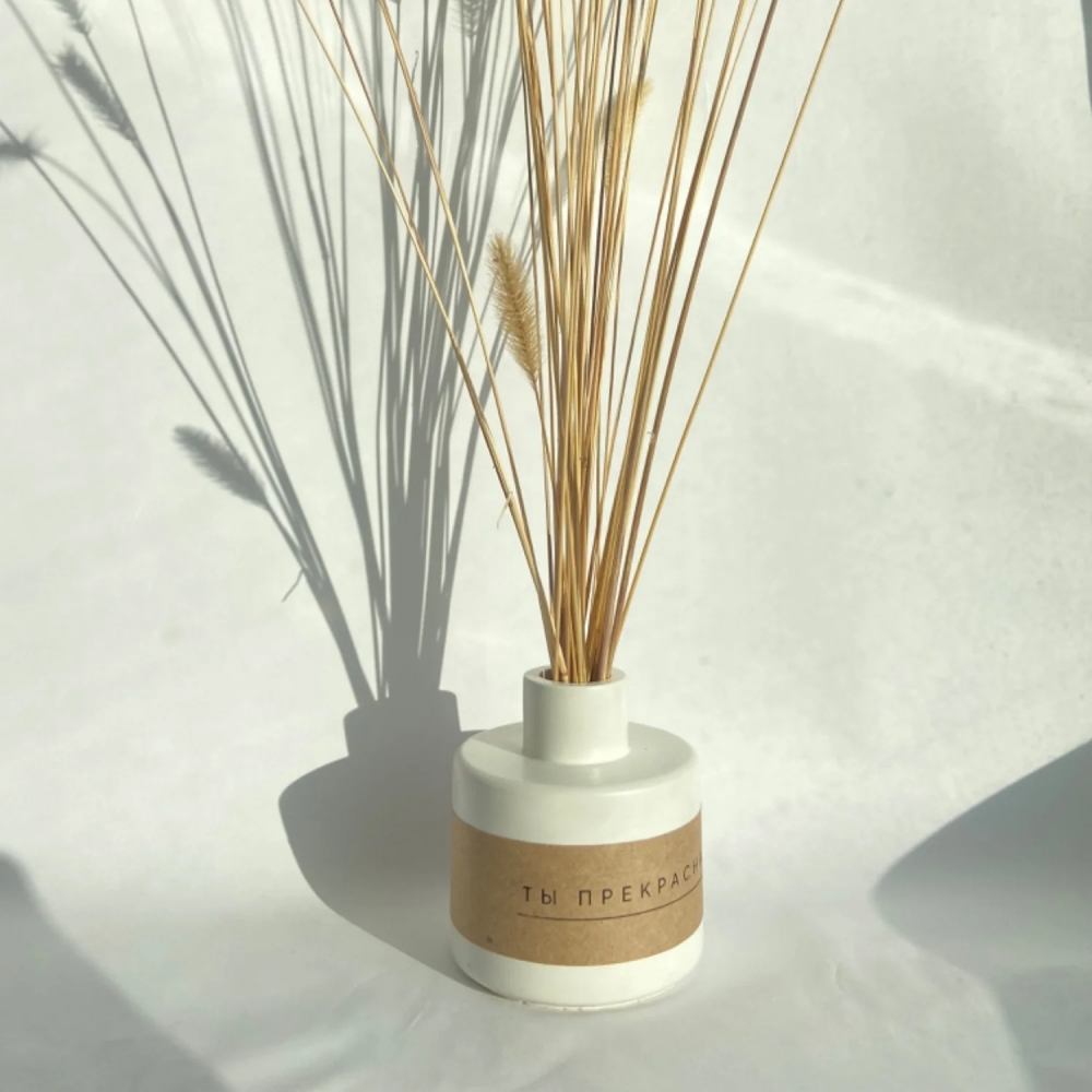 Moldes de silicona de arcilla  - Misting Bottle Fine reseña y precio