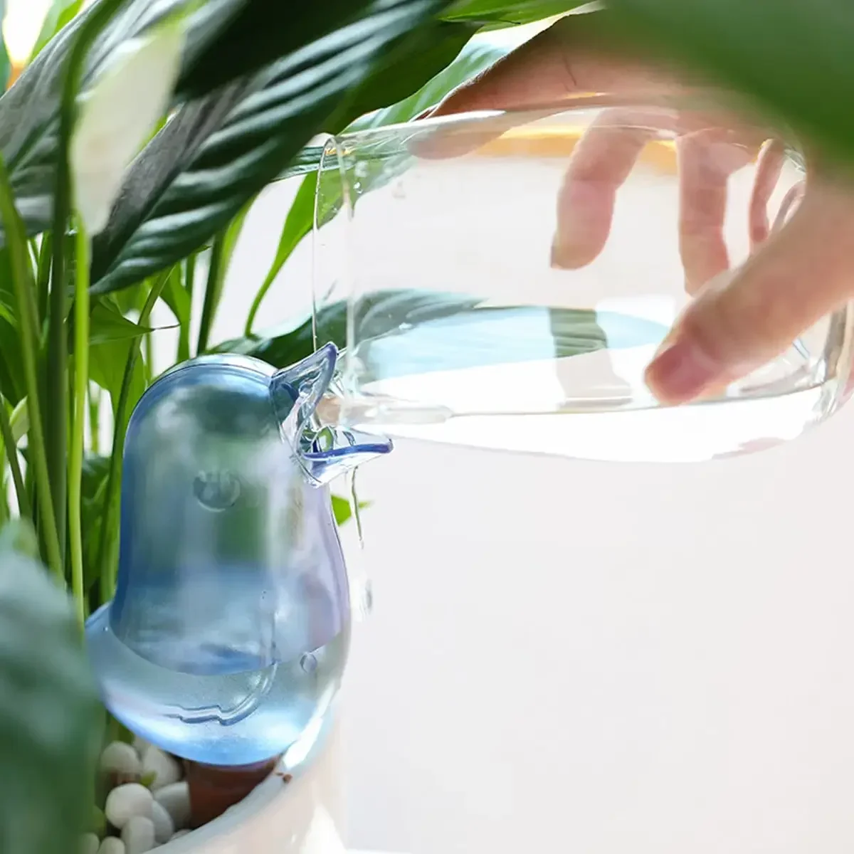 Bebedero automático de flores  - Self Watering Insert reseña y precio